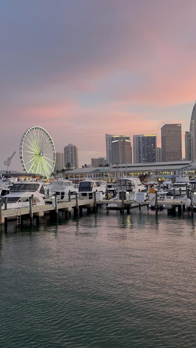 Abraham Locayo takes a Miami boat tour sightseeing celebrity homes.