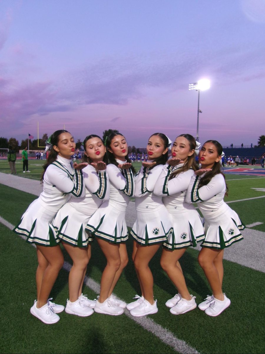 The Pomline Seniors posing on the sidelines at FNL. 