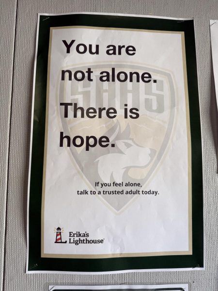 Posters displayed around campus remind students of Erika's Lighthouse main goal which is to shine a light on mental health and educate young people about depression to ensure no one feels alone.
