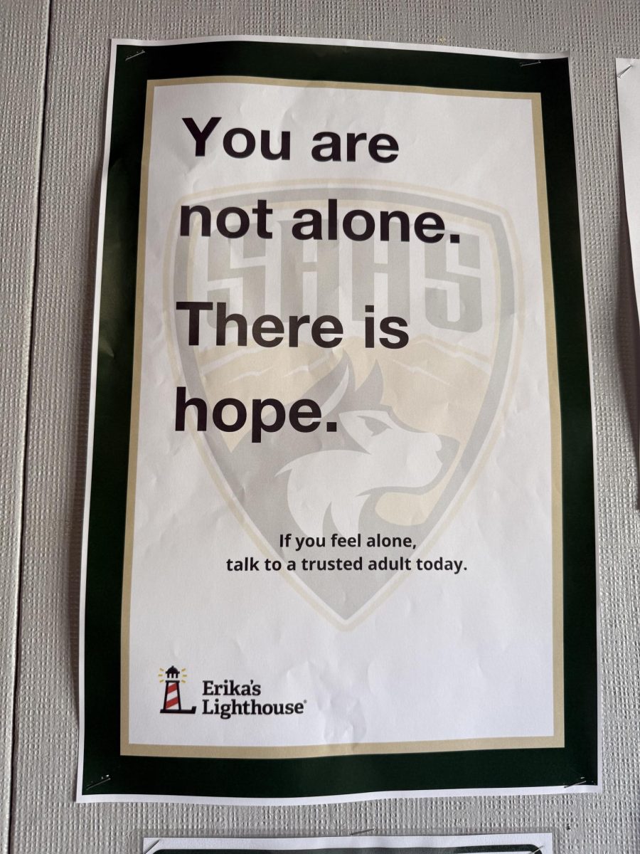 Posters displayed around campus remind students of Erika's Lighthouse main goal which is to shine a light on mental health and educate young people about depression to ensure no one feels alone.