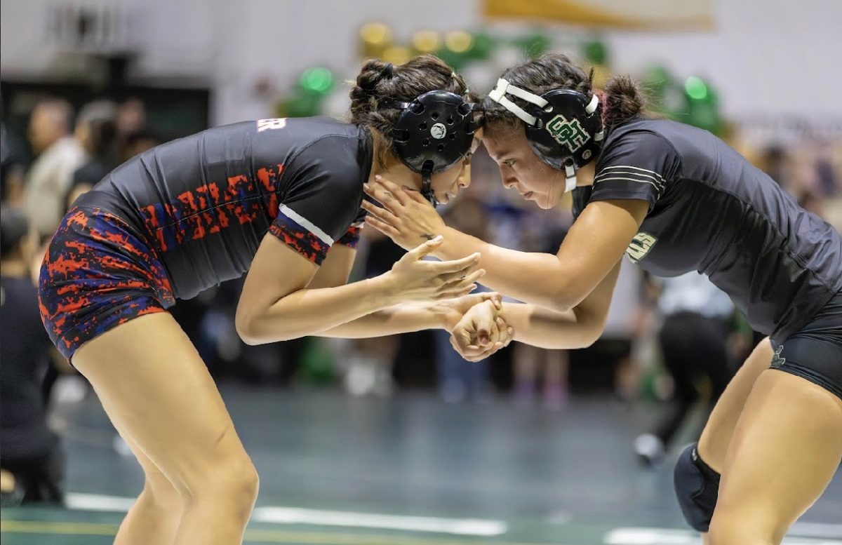 Melody Quezada (10) hand fights with her opponent.