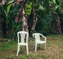 The album cover of Bad Bunny's DeBÍ TiRAR MáS FOToS is meant to capture the loss of loved ones and the simplicity of Puerto Rican life.